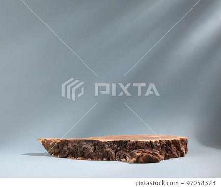 Beautiful wooden snag, cylindrical birch slab on a gray background with sunlight Podium. An empty showcase for product presentation Beautiful wooden snag, cylindrical birch slab on a gray background with sunlight Podium. An empty showcase for product presentation 97058323