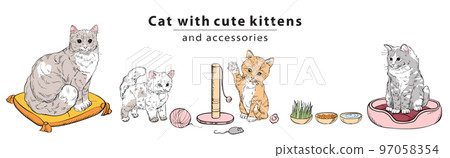 A cat set with cute kittens, soft pillows and accessories for games.  97058354