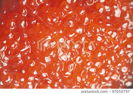 Background texture of salmon fish red caviar. 97058797
