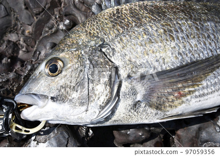 奇努的臉 奇努的臉 97059356