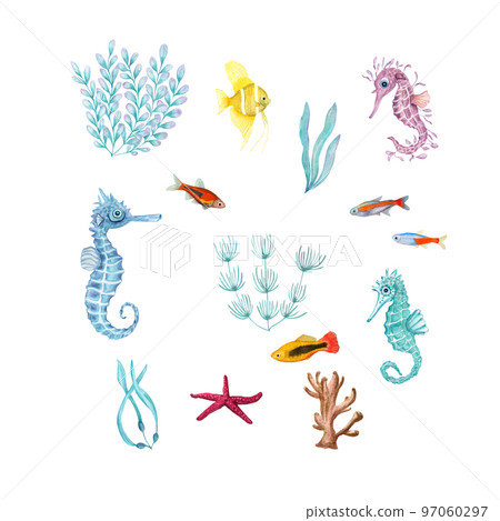 Watercolor illustration of a set of marine fauna isolated on white background. Angelfish, starfish, shells, corals, seahorse, seaweed, plants, water, sea, ocean. Print design poster fabric decoration Watercolor illustration of a set of marine fauna isolated on white background. Angelfish, starfish, shells, corals, seahorse, seaweed, plants, water, sea, ocean. Print design poster fabric decoration 97060297