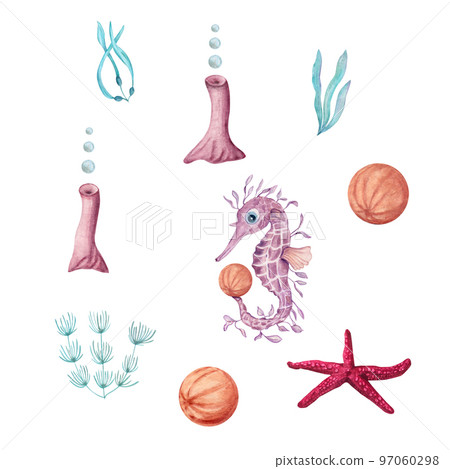 Watercolor illustration of a set of marine fauna isolated on white background. Angelfish, starfish, shells, corals, seahorse, seaweed, plants, water, sea, ocean. Print design poster fabric decoration Watercolor illustration of a set of marine fauna isolated on white background. Angelfish, starfish, shells, corals, seahorse, seaweed, plants, water, sea, ocean. Print design poster fabric decoration 97060298