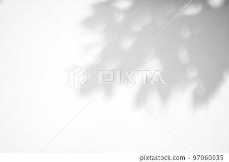 Abstract natural tree leaves shadow on white wall background 97060935