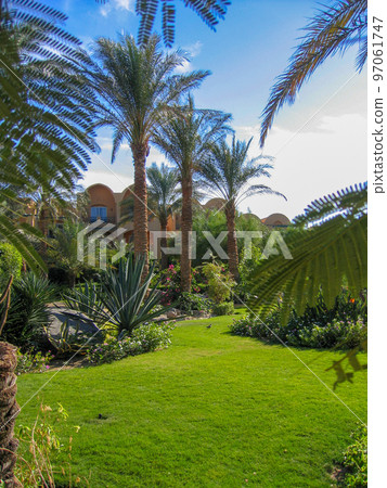 Landscape in front of the hotel in Egypt Landscape in front of the hotel in Egypt 97061747