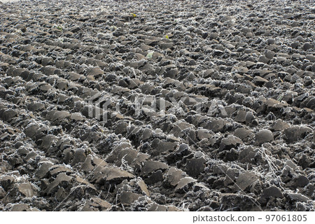 field, plowed black earth frozen by the frost 97061805