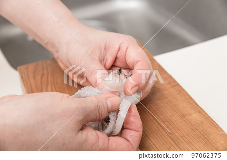 [A middle-aged housewife prepares a squid, removing the kite] 97062375