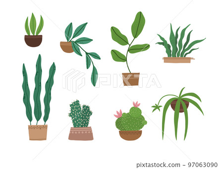 Set of different tropical house plant. Ficus, monstera, protea, pellaea, succulent in various pot, vase. Scandinavian cozy home decor. Flat vector cartoon illustration isolated on white 97063090