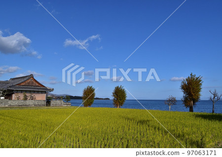 琵琶湖/大月戶湖畔綠地 琵琶湖/大月戶湖畔綠地 97063171