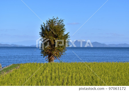 琵琶湖/大月戶湖畔綠地 97063172