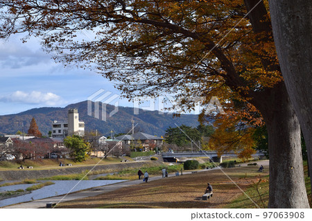 Autumn leaves near the Kamigamo Bridge on the Kamo River in Kyoto 97063908