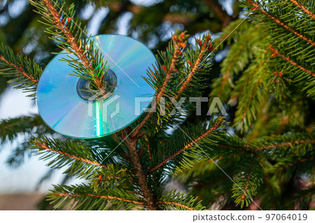 Compact disc is on a Christmas tree, New Year music party 97064019