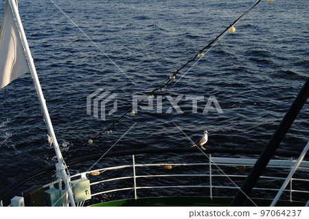 橫濱海灣大橋,橫濱海灣大橋,橫濱,海灣大橋,橫濱,海灣大橋,遊輪,遊輪 橫濱海灣大橋,橫濱海灣大橋,橫濱,海灣大橋,橫濱,海灣大橋,遊輪,遊輪 97064237