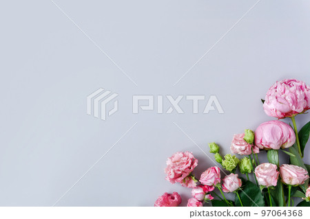 Beautiful flowers on grey blue background. Tender pink peonies frame with copy space. Festive floral minimal composition. Valentines day, mothers day concept. Top view, flat lay Beautiful flowers on grey blue background. Tender pink peonies frame with copy space. Festive floral minimal composition. Valentines day, mothers day concept. Top view, flat lay 97064368