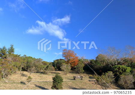 寶木峰森林公園,深秋看雲(高知縣香美市) 寶木峰森林公園,深秋看雲(高知縣香美市) 97065235