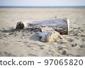 埋在沙灘上的錘形浮木 97065820