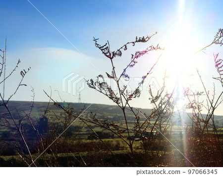 Bright winter Cornish moorland. Grass in the morning. Bodmin Moor Cornwall, UK. 97066345