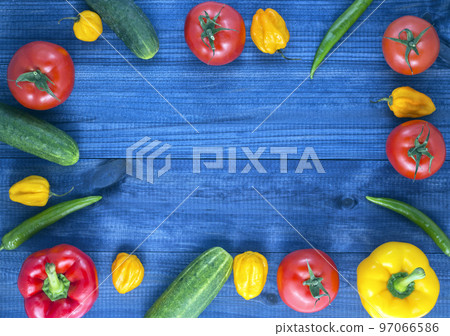 vegetables on wooden table. Image with copy space vegetables on wooden table. Image with copy space 97066586