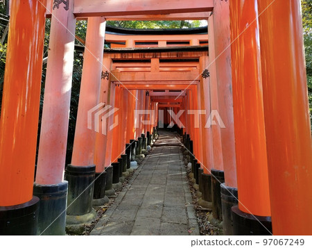 Fushimi-Inari Taisha Shrine Torii Torii Kyoto 97067249