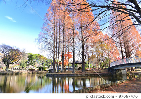 埼玉縣上尾市上尾丸山公園風景 97067470
