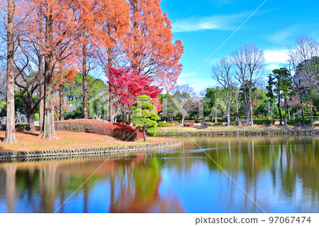 Scenery of Ageo Maruyama Park, Ageo City, Saitama Prefecture Scenery of Ageo Maruyama Park, Ageo City, Saitama Prefecture 97067474