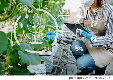Smart farmer using application by tablet concepts modern agricultural technology and visual icon.Smart farming .. 97067693