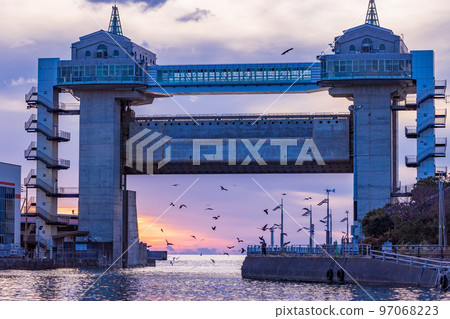 (Shizuoka Prefecture) Numazu Port large observatory water gate Viewo Flock of seabirds (Shizuoka Prefecture) Numazu Port large observatory water gate Viewo Flock of seabirds 97068223