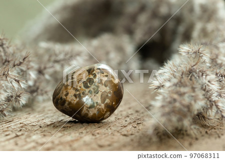 Brown Jasper Tumbled Gem Stone on Wood 97068311