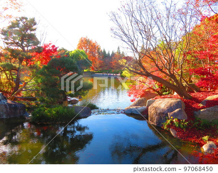 琵琶湖文化公園日落花園 琵琶湖文化公園日落花園 97068450