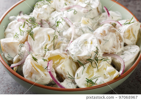 Fransk Potatissallad New potato salad with pickles, dill and red onion with creme fraiche dressing close-up in a plate. Horizontal Fransk Potatissallad New potato salad with pickles, dill and red onion with creme fraiche dressing close-up in a plate. Horizontal 97068967
