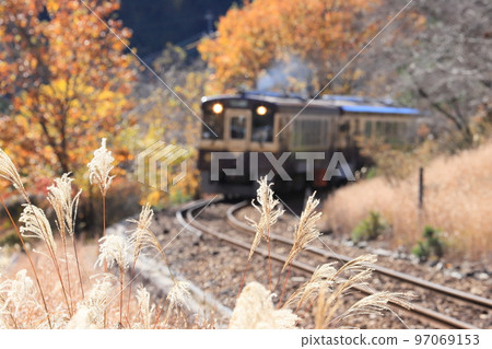 Watarase Keikoku Railway "Sparkling pampas grass and scenery along the railway in late autumn" 97069153