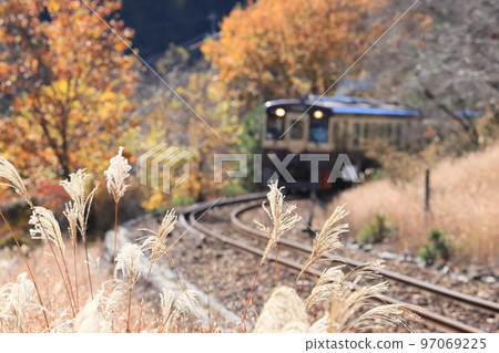 Watarase Keikoku Railway "Sparkling pampas grass and scenery along the railway in late autumn" 97069225