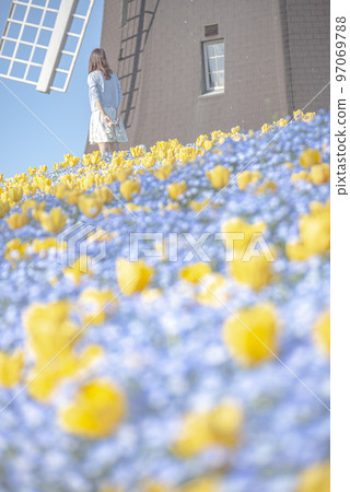 Nemophila, tulips and a woman Nemophila, tulips and a woman 97069788