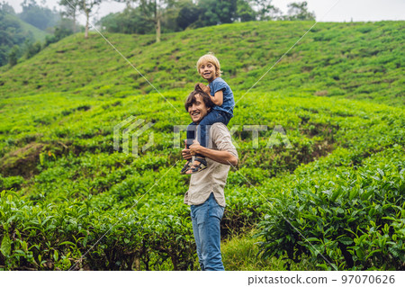 Father and son are traveling on a tea plantation in Malaysia. Traveling with children concept Father and son are traveling on a tea plantation in Malaysia. Traveling with children concept 97070626