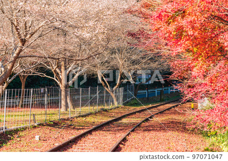 Former Mikawa Hirose Station on the Meitetsu Mikawa Line in autumn <Toyota City, Aichi Prefecture> Former Mikawa Hirose Station on the Meitetsu Mikawa Line in autumn <Toyota City, Aichi Prefecture> 97071047
