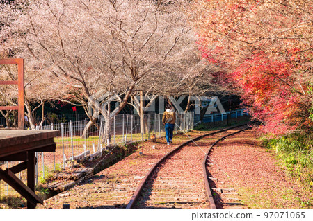秋天的名鐵三河線舊三河廣瀨站<愛知縣豐田市> 97071065