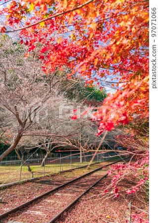 Former Mikawa Hirose Station on the Meitetsu Mikawa Line in autumn <Toyota City, Aichi Prefecture> Former Mikawa Hirose Station on the Meitetsu Mikawa Line in autumn <Toyota City, Aichi Prefecture> 97071066