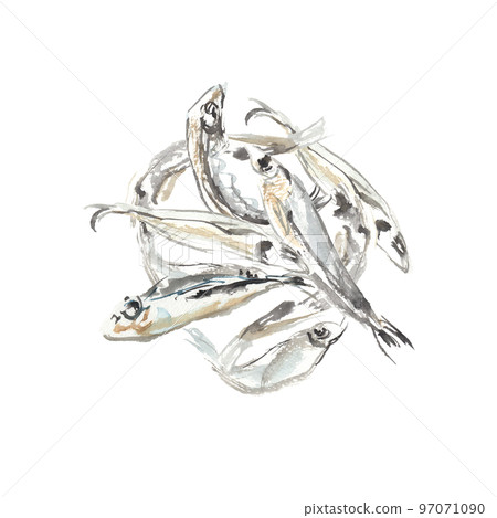 水彩畫的干沙丁魚插圖 水彩畫的干沙丁魚插圖 97071090