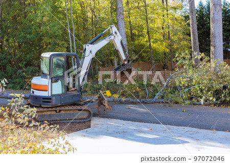After tornado uprooted trees fell into street, requiring tractor cleanup. After tornado uprooted trees fell into street, requiring tractor cleanup. 97072046