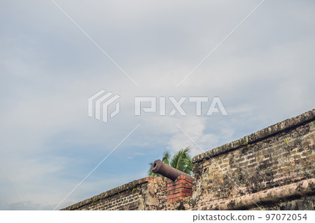 Young woman feeding an African Sacred ibis 97072054
