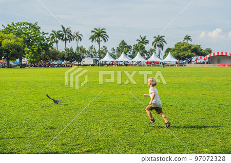 Young woman feeding an African Sacred ibis 97072328