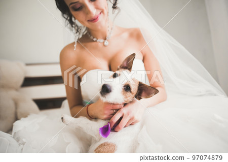 Portrait of beautiful bride with fashion veil at wedding morning Portrait of beautiful bride with fashion veil at wedding morning 97074879
