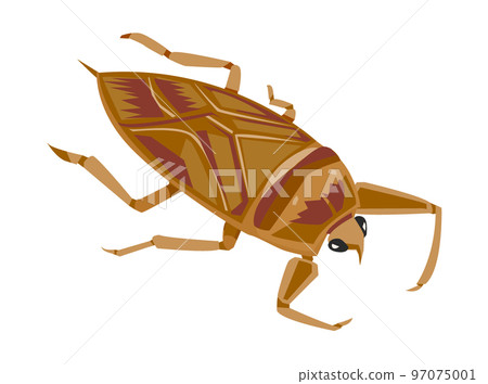 Illustration of a turtle 97075001