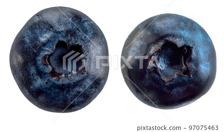 Two blueberries on a white background 97075463