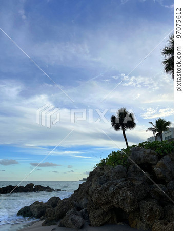 Beautiful coconut palm tree with amazing vivid sky Beautiful coconut palm tree with amazing vivid sky 97075612