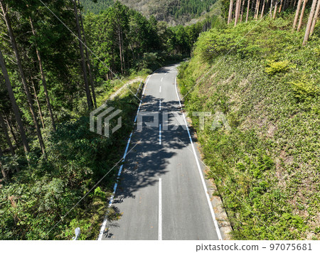 林道形象 97075681