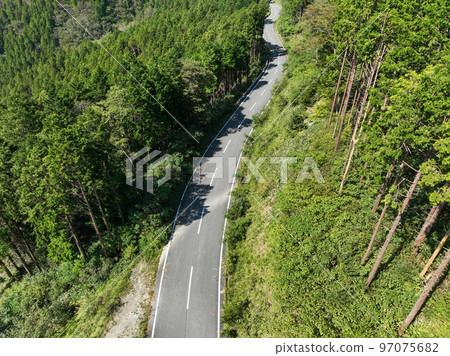 林道形象 97075682