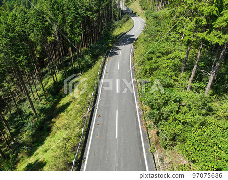 Forest road image 97075686