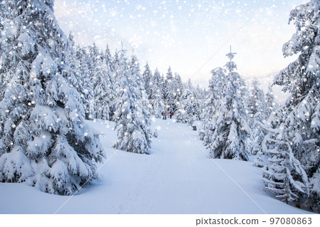 amazing winter landscape with snowy fir trees in the mountains amazing winter landscape with snowy fir trees in the mountains 97080863