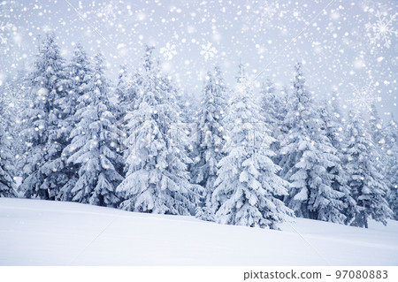 magical frozen winter landscape with snow covered fir trees 97080883
