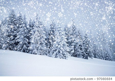 magical frozen winter landscape with snow covered fir trees 97080884